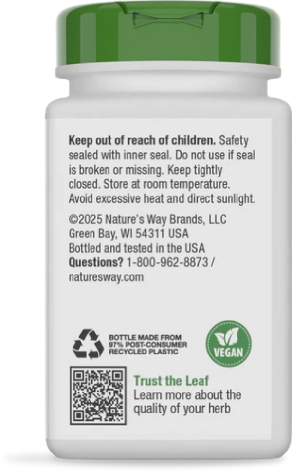 Burdock Root Natures Way