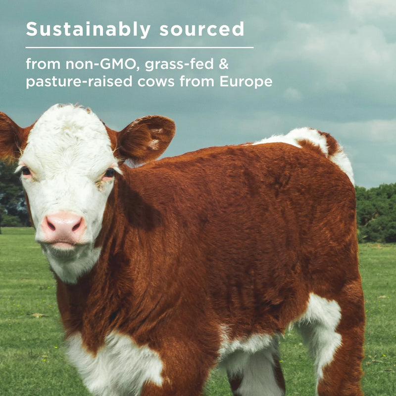 Bone Broth Protein Salted Caramel 20 grams per serving