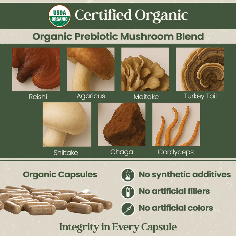 Vital Planet Shop  Organic Flora Women’s Daily Probiotic Supplement