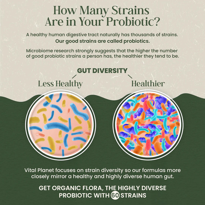 Vital Planet Shop  Organic Flora Women’s Daily Probiotic Supplement